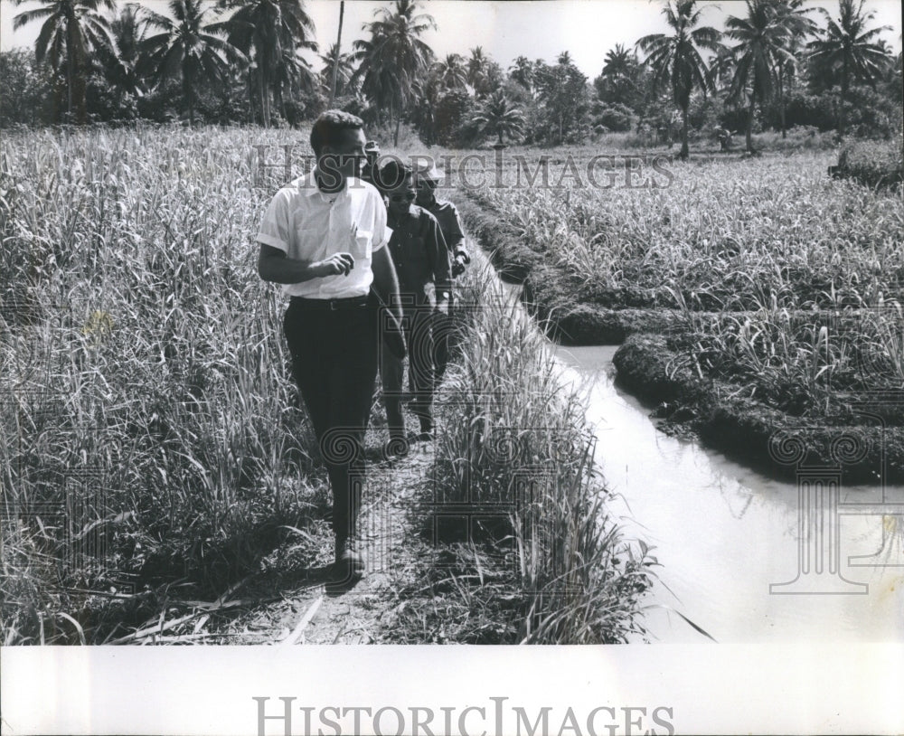 1967 Binh Duong Aid Province Phil Carolin - Historic Images