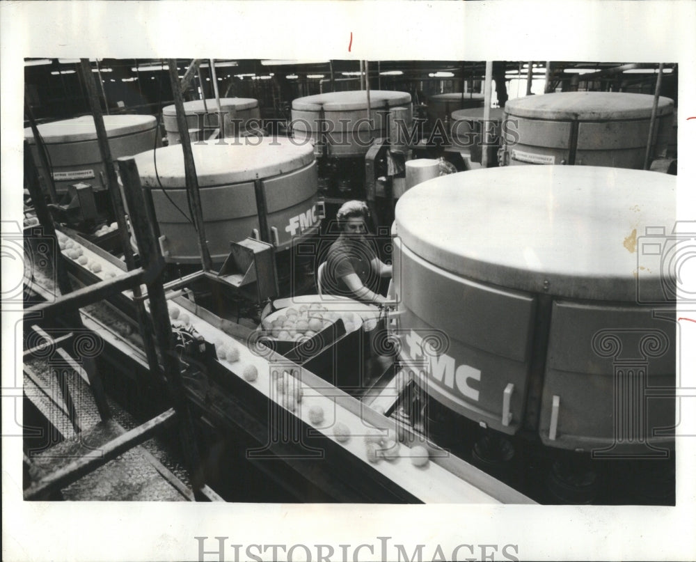 1975 Citrus Machine FMC Corp Chicago  - Historic Images