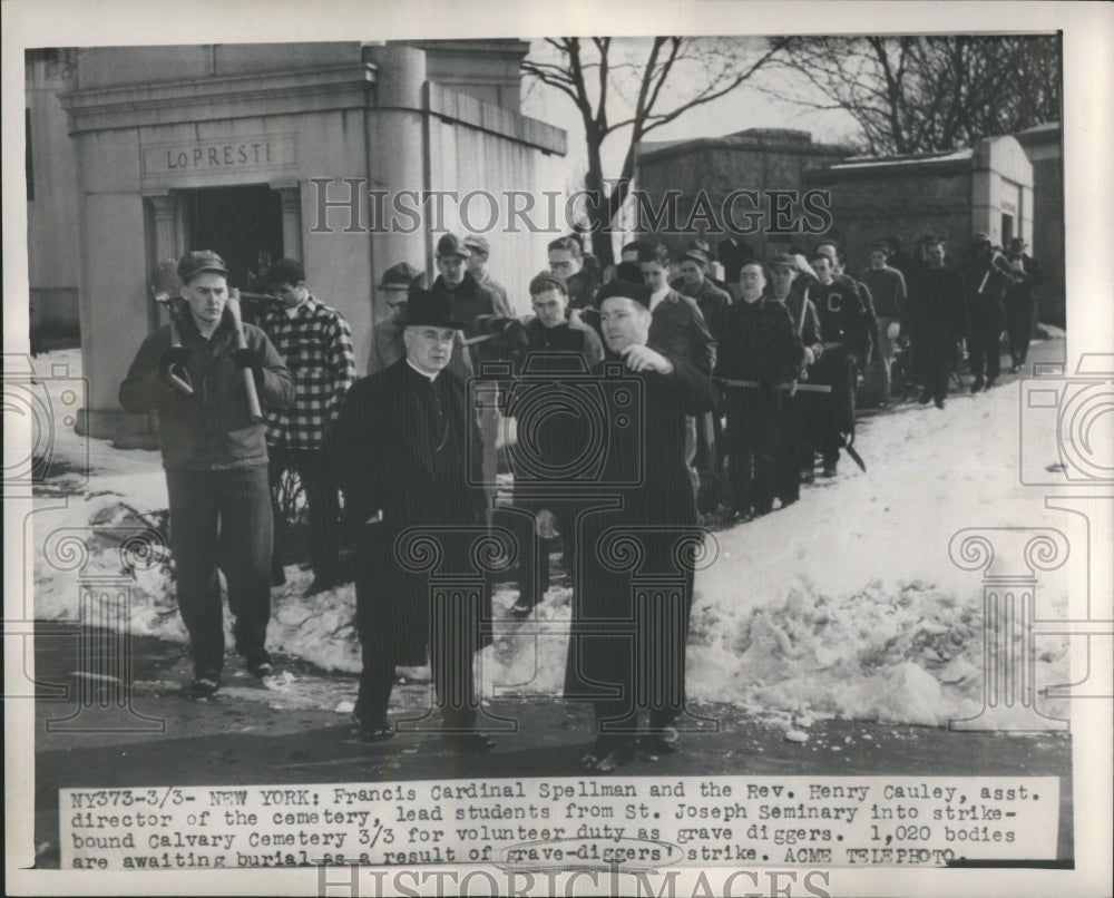 1949 Grave Diggers Strike Volunteer - Historic Images