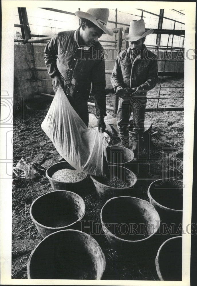 1981 the World Toughest Rodeo - Historic Images