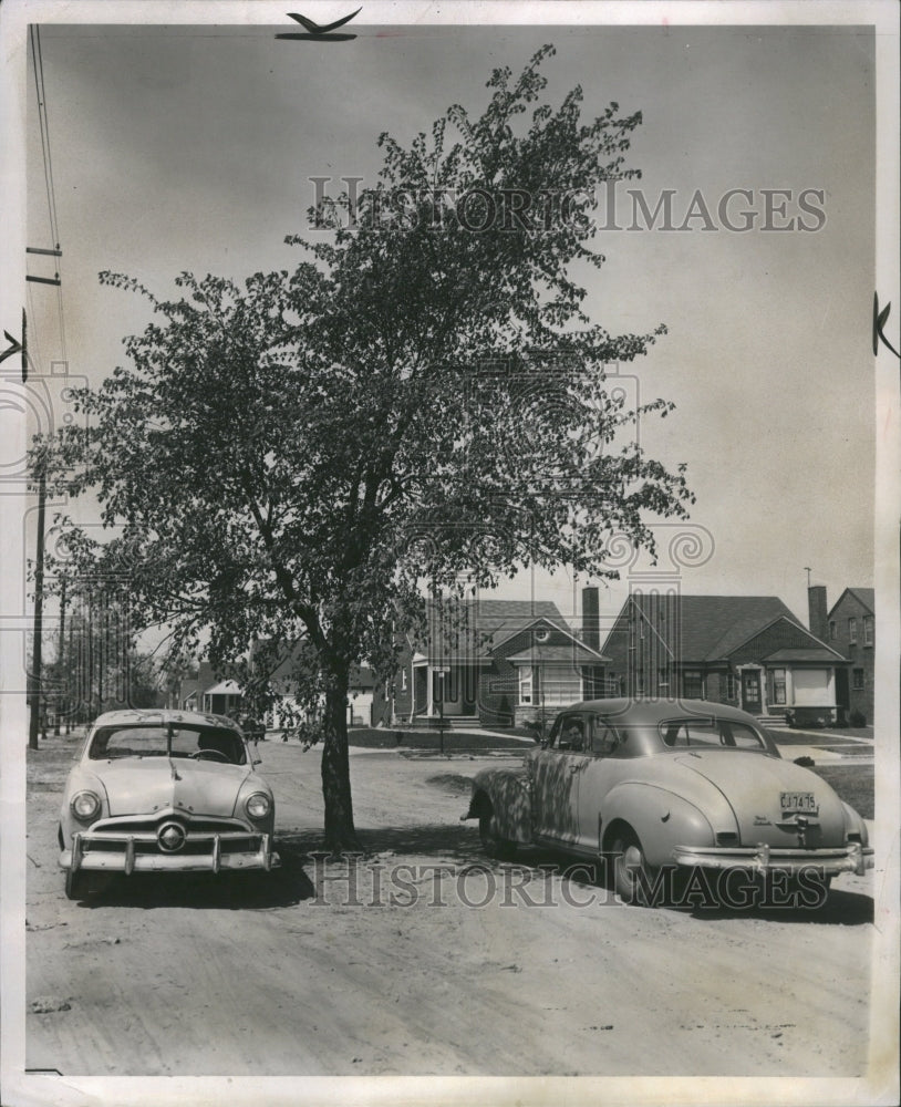 1952 Two cars take shade on two trees - Historic Images