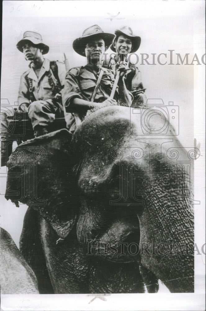 1954 Elephants Help Battle The Reds - Historic Images