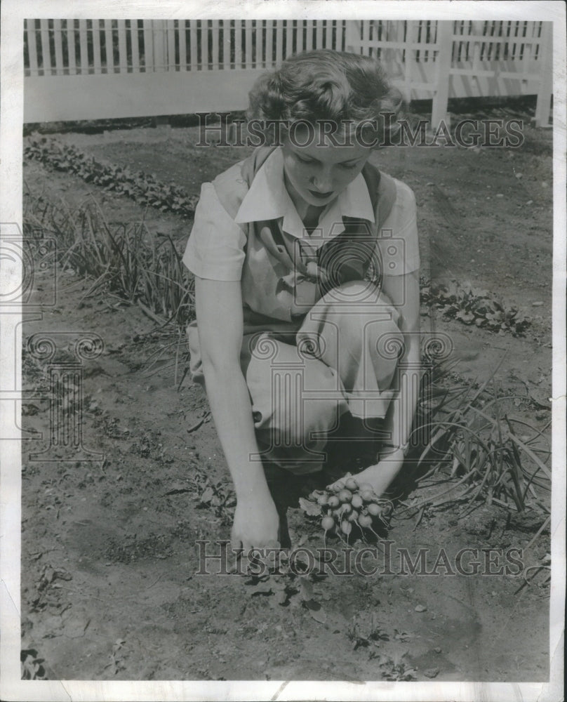 1955 Press Photo Lady Seed Garden Radish - Historic Images