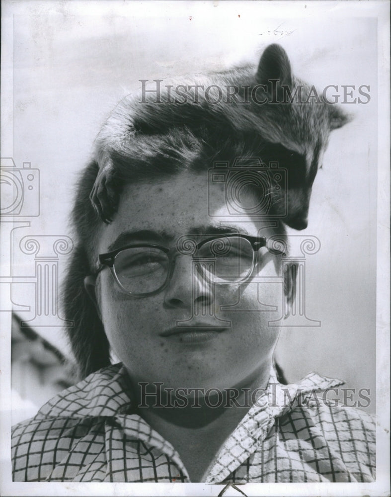 1955 Raccoon perch atop Jimmy Wacker head. - Historic Images