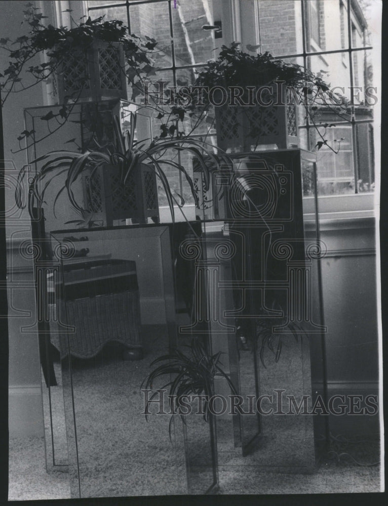 1976 Status Plant Mirror Flowers Betty Lotz - Historic Images