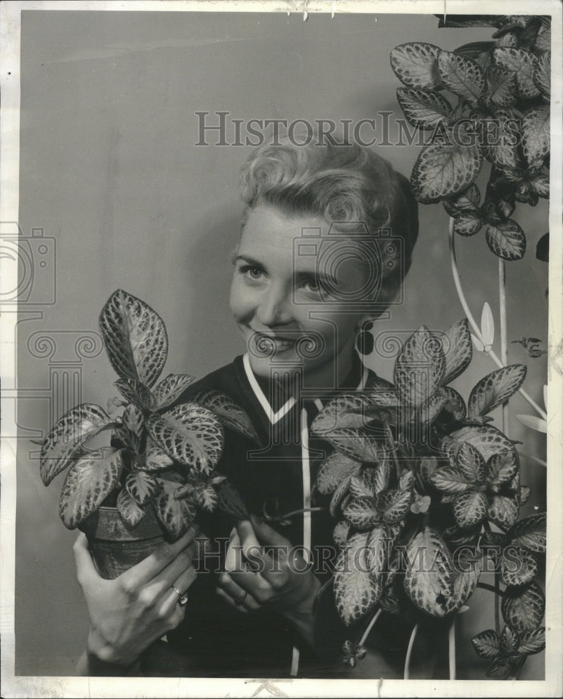 1956 William C Blaesing April Plant Lincoln - Historic Images