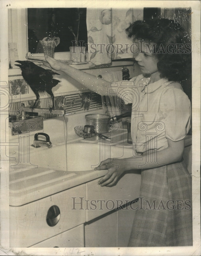 1946 Mischievous Blackbird Named Jocko - Historic Images