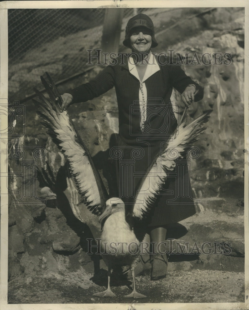 NONE Photo Albatross - Historic Images