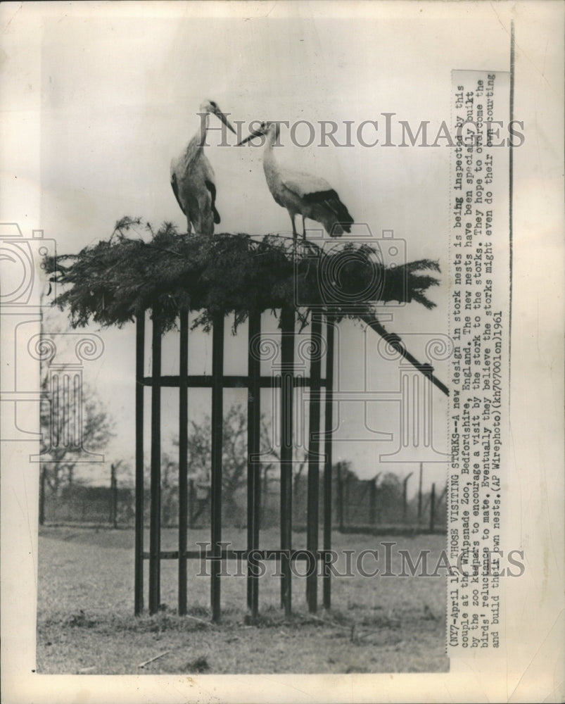 1961 Storks - Historic Images