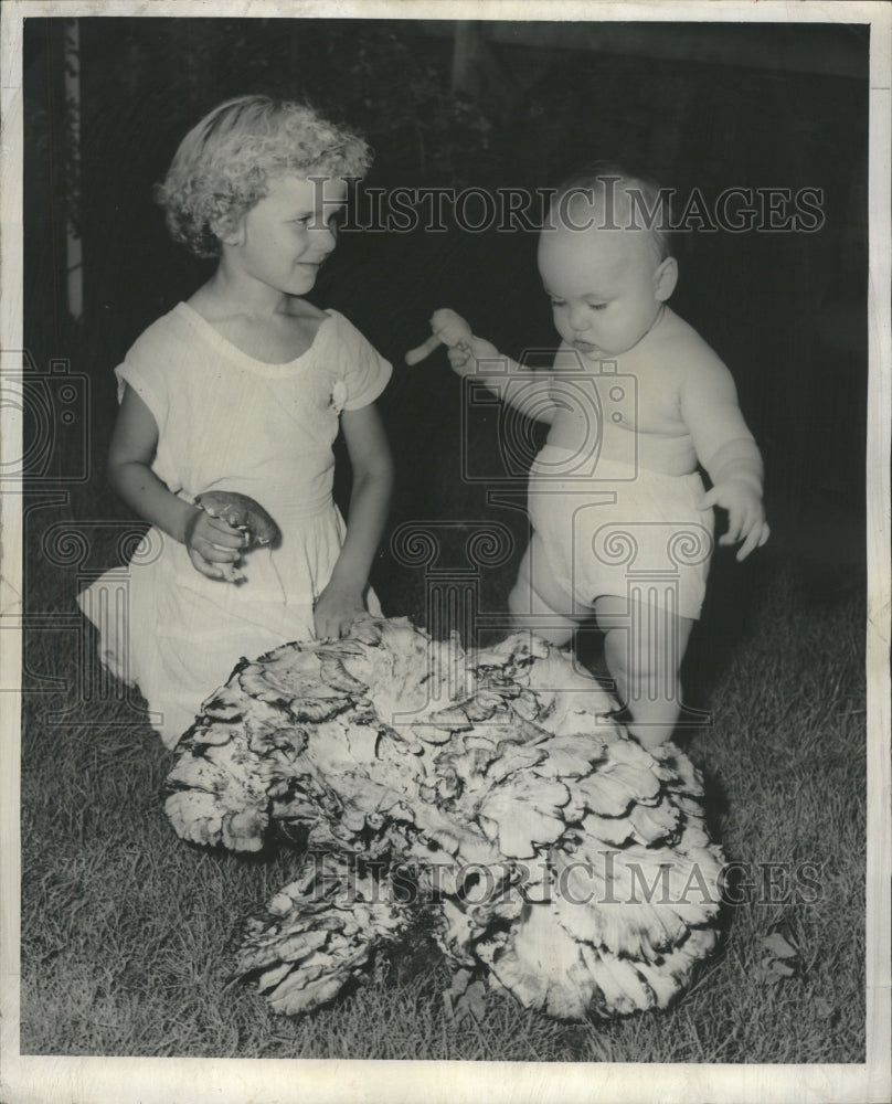 1954 Kids with a 25 pound mushroom - Historic Images