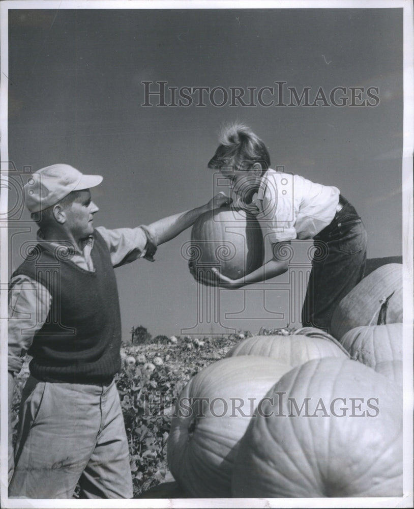 1955 Pumpkin Harvest Farmer Peterson Son  - Historic Images