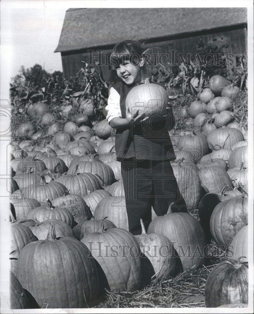 1972 Press Photo Pumpkin Patch Bobs Farm Kid Picks - Historic Images