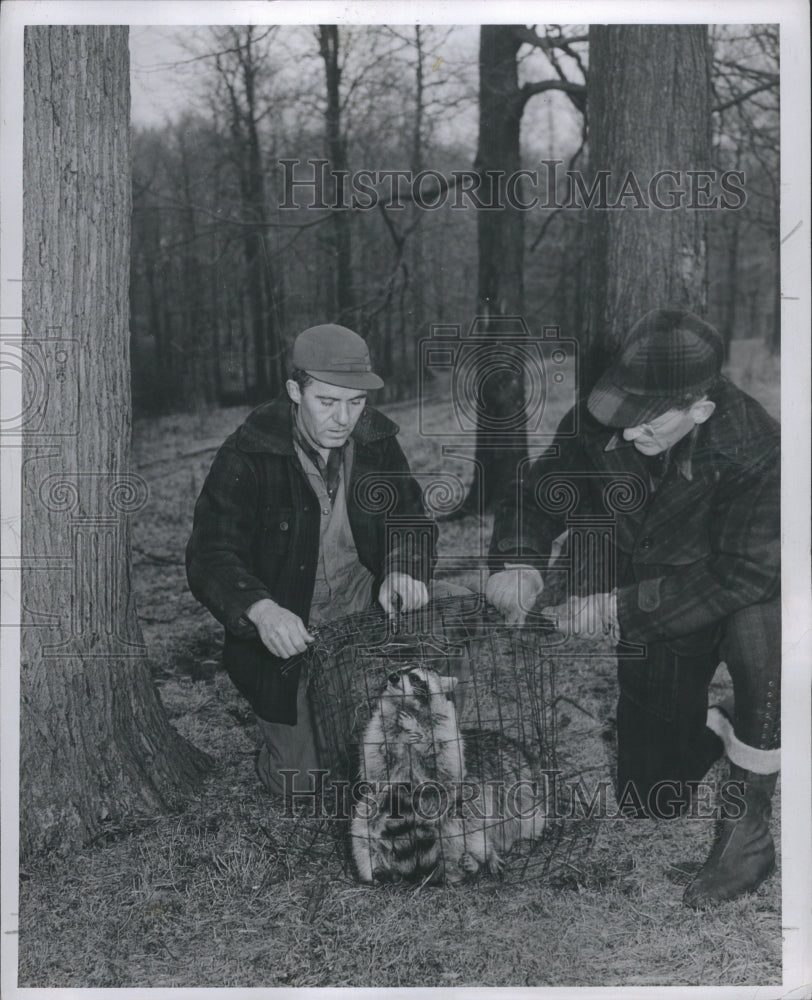 1949 Hunters Raccoon Cage Animal  - Historic Images