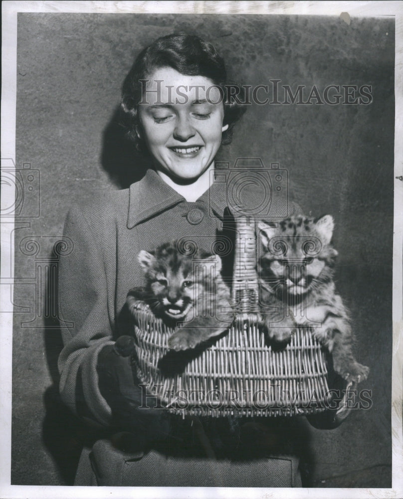 1952 Baby Tigers Newfoundland Zoo Basket - Historic Images