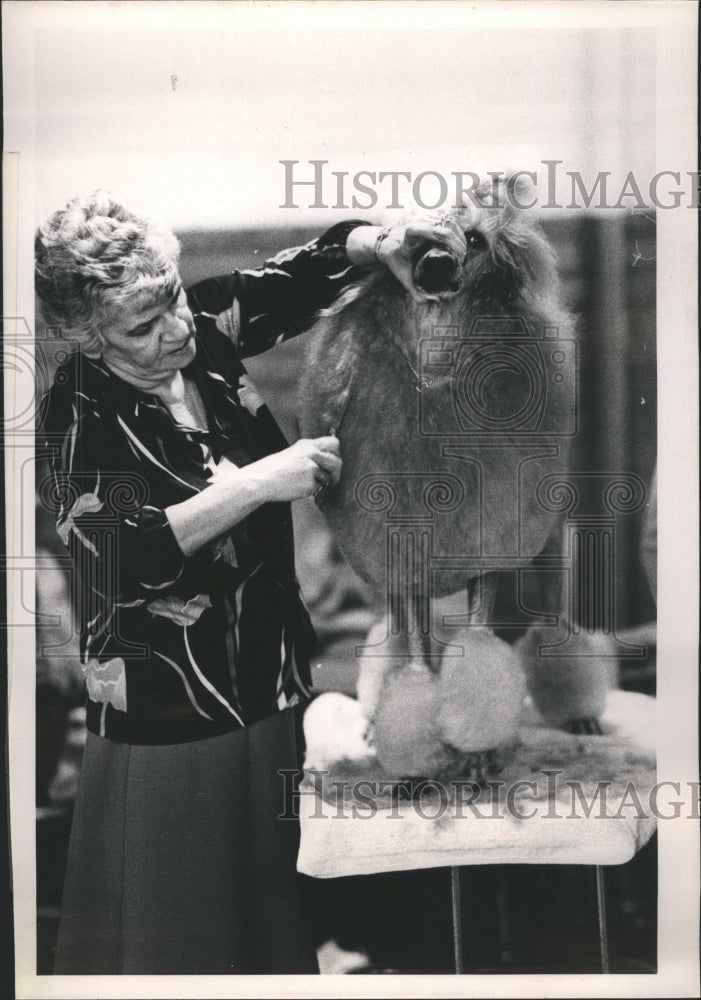 1981 Dog Shows - Historic Images