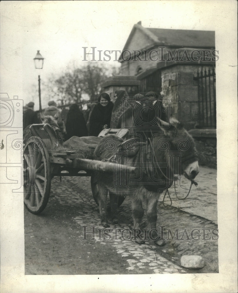 None Photo Carriages - Historic Images