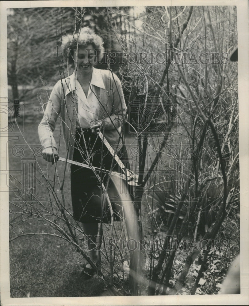 1947 Pruning Shrubs Backyard Housewife - Historic Images