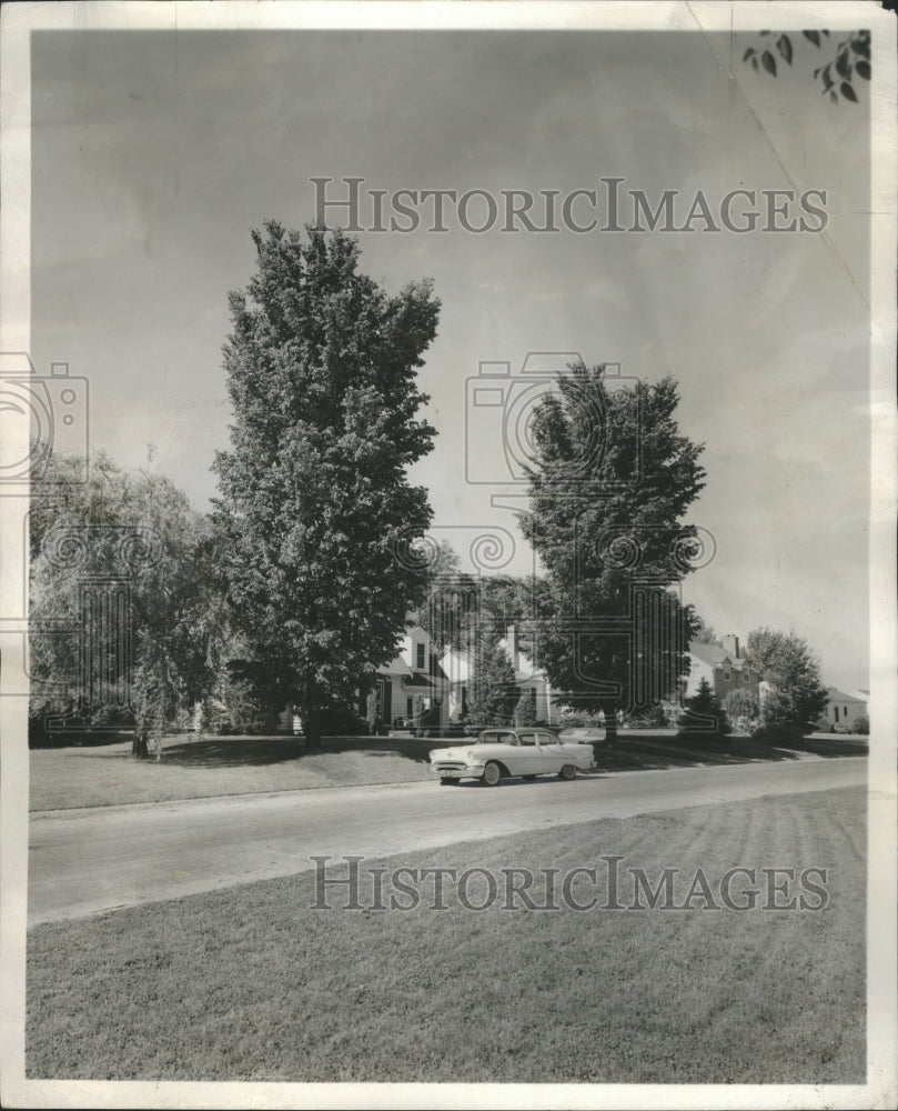 1956 Elm - Historic Images