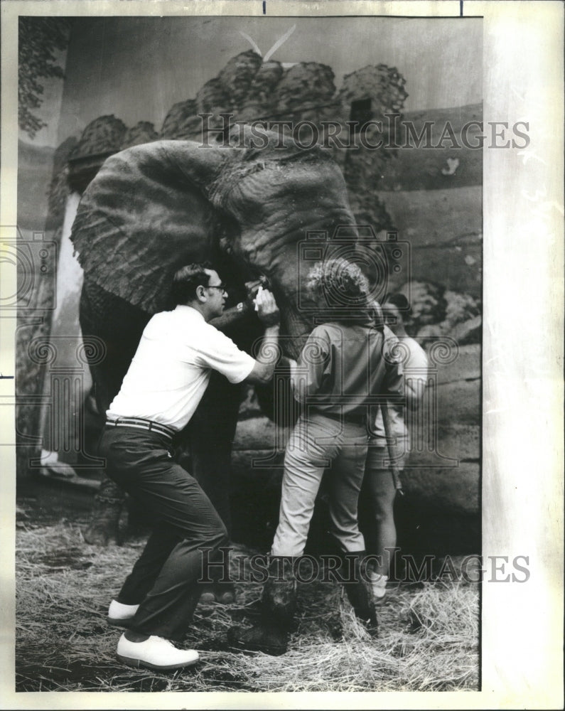 1986 Brookfield Zoo - Historic Images