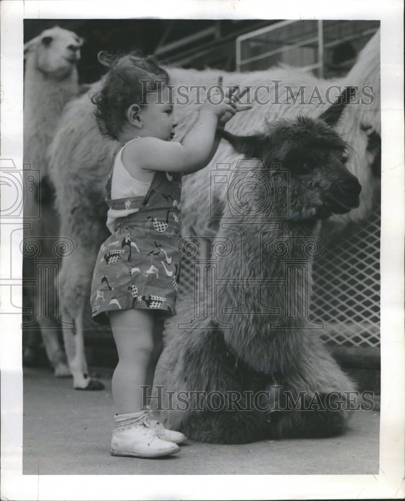 1956 Brookfield Zoo - Historic Images