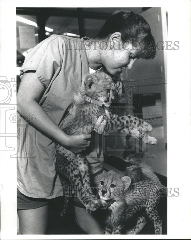 1991 Lincoln Park Zoo - Historic Images