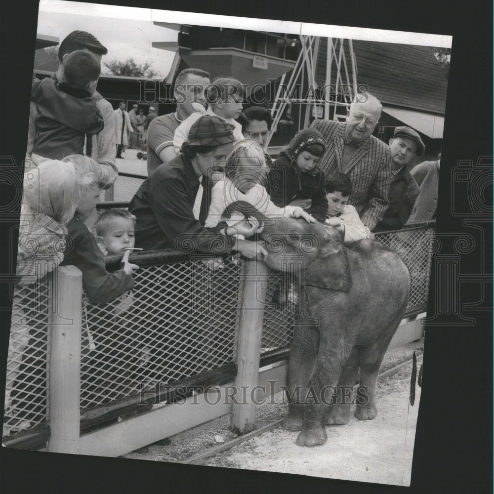 1959 Brookfield Zoo Winky - Historic Images