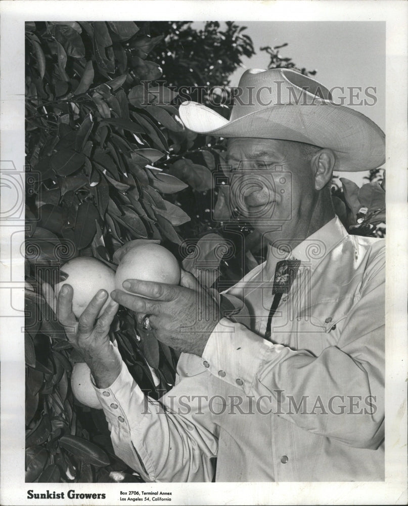 1967 Grape fruit growing at Sunkist plant - Historic Images