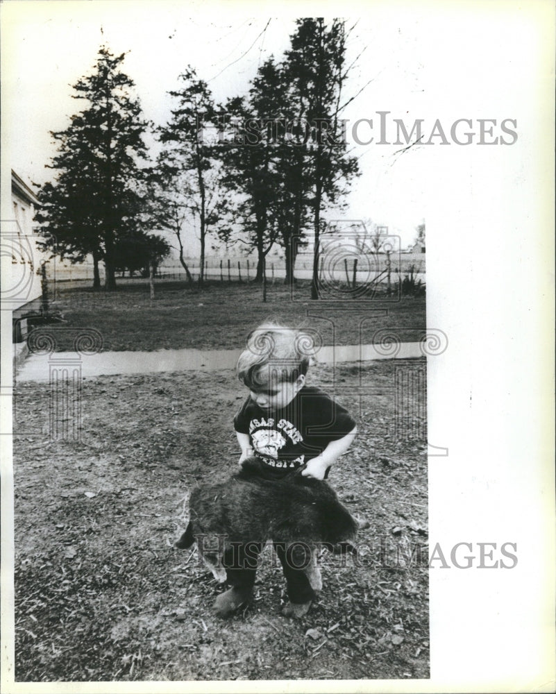 1983 Joey Bulldogging Pet Cat - Historic Images