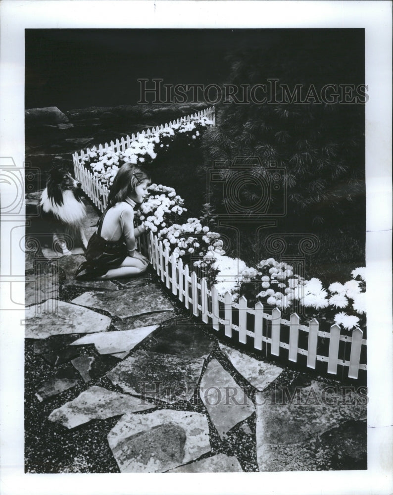 1973 Flowers Dogs Miniature Picket Fence - Historic Images
