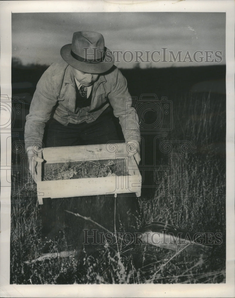 1949 Entomologist US Department Agriculture - Historic Images