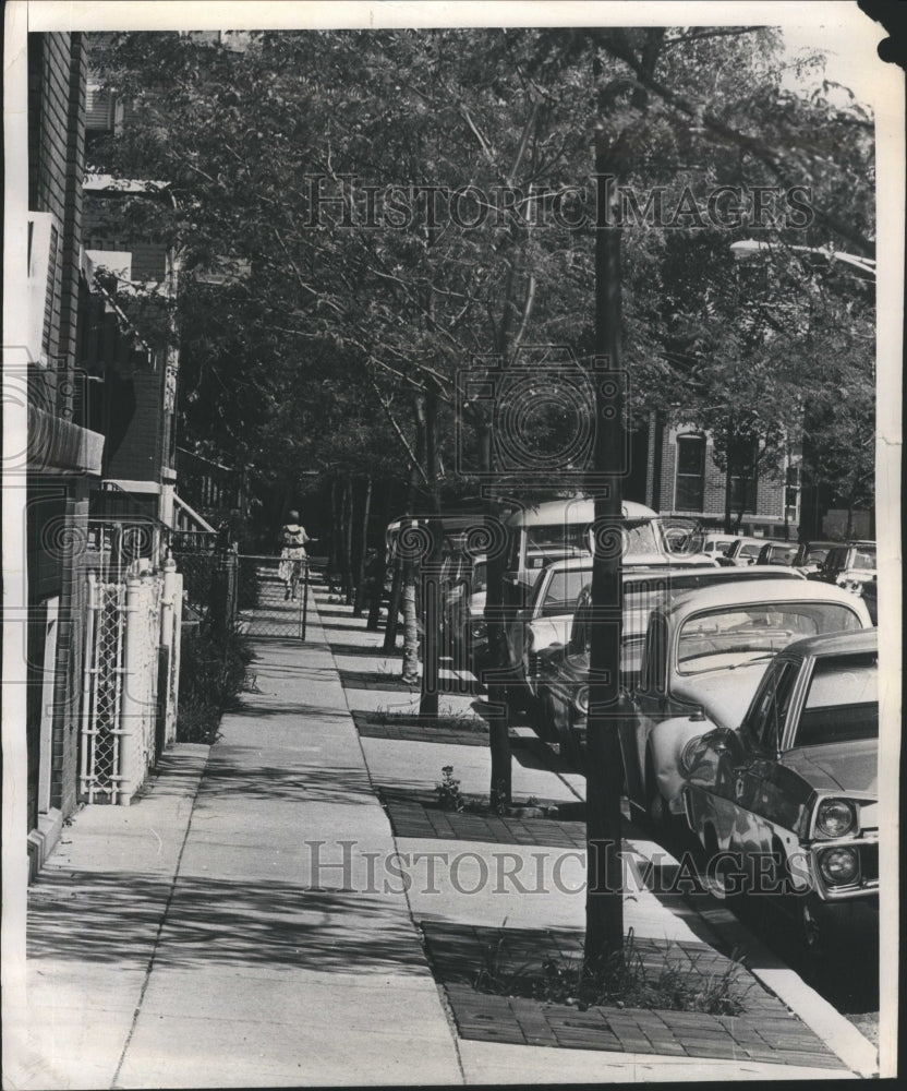 1967 Old Town Bricks Trees Ruth Moore - Historic Images