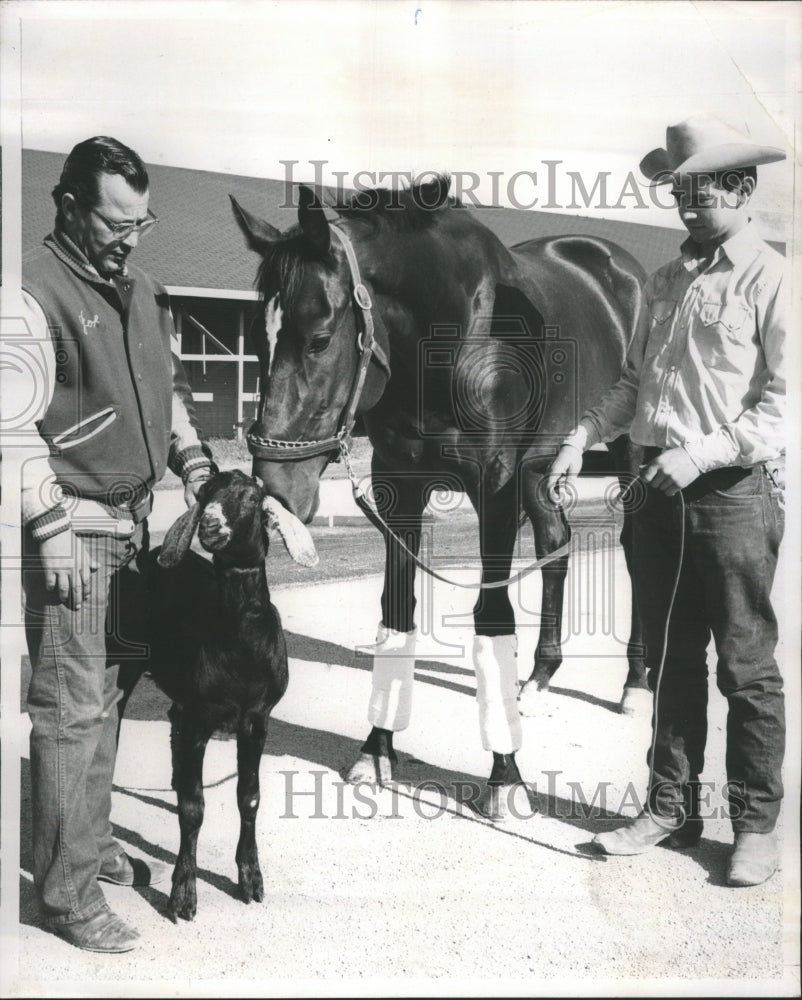 1965 Arlington Park Mike Bao Goat  Gem Stat - Historic Images