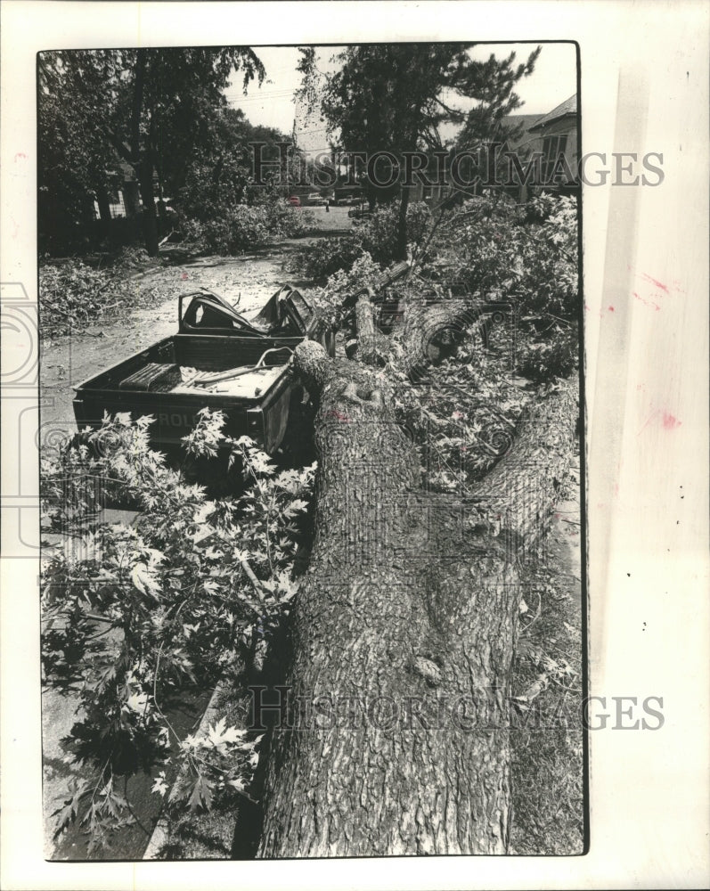 1980 Truck Storms Tree Road - Historic Images