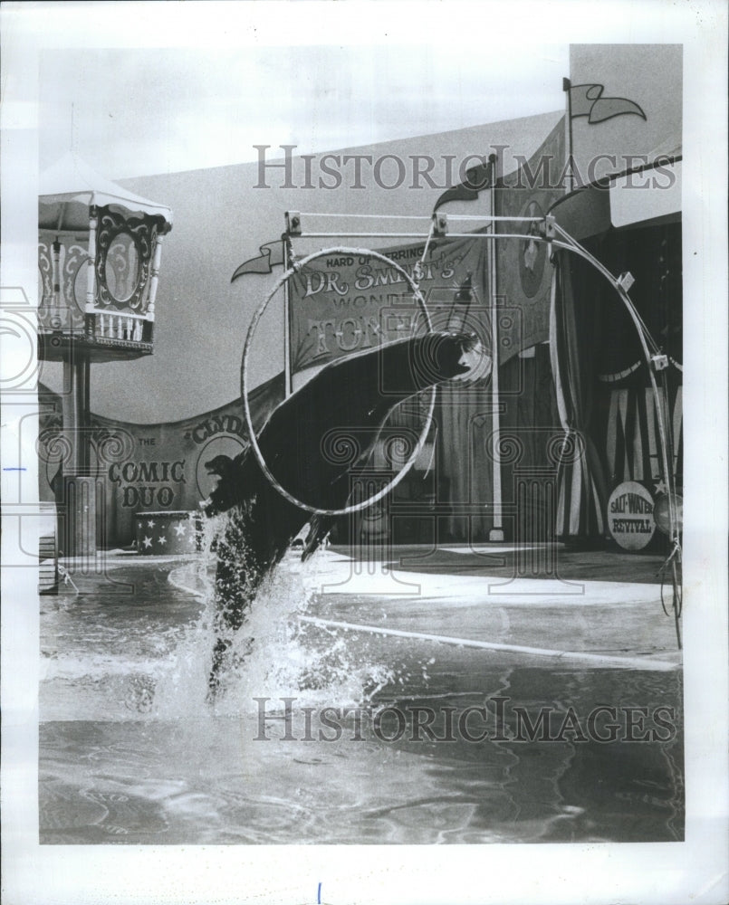 1977 Sea World Johnson King Flordia - Historic Images