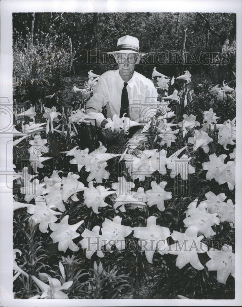 1954 Howard E.D. Smith grower of lilies - Historic Images