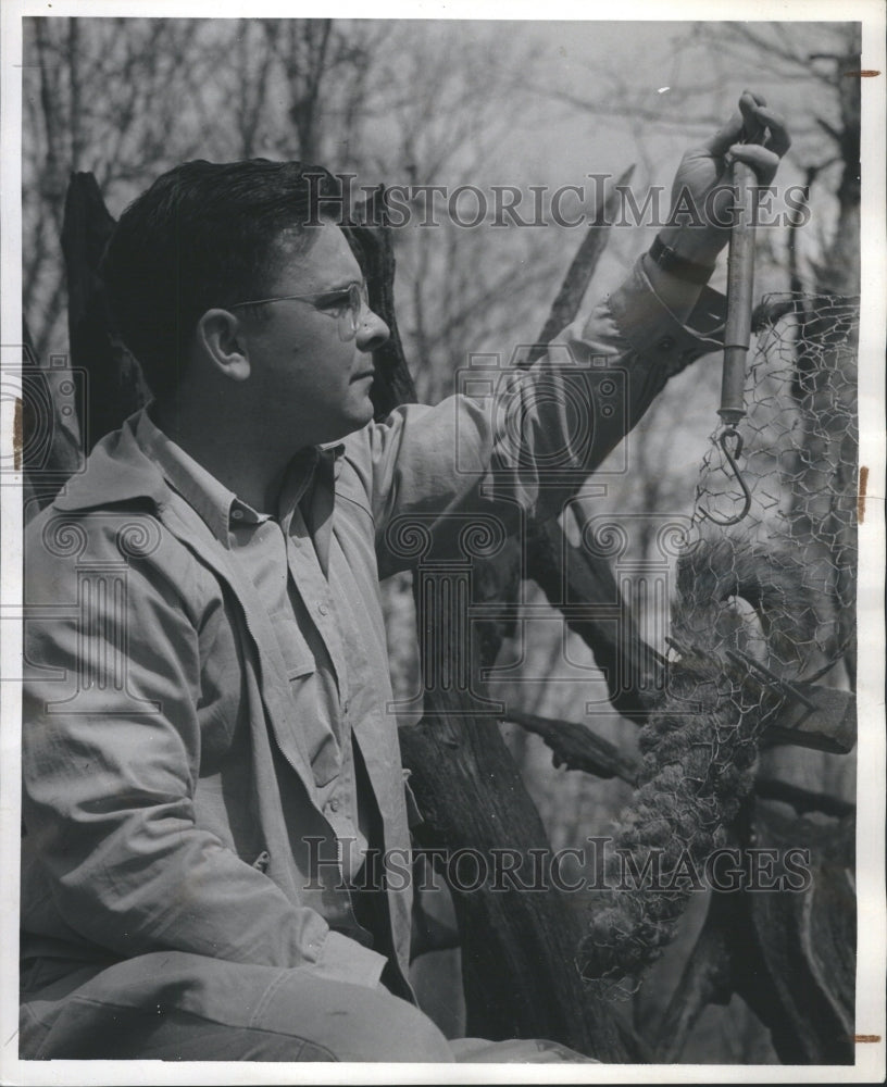 1941 Swan Creek Wild Life Experimental StatPress Photo - Historic Images