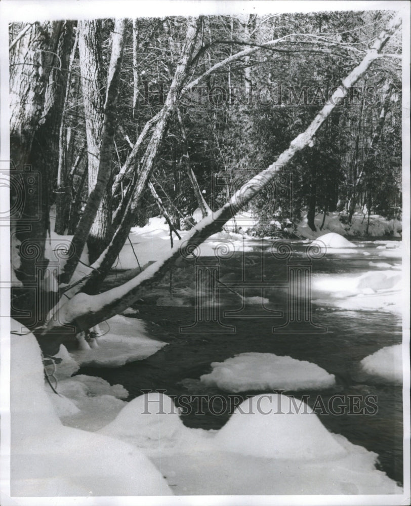 Photo Press Winter Stream - Historic Images