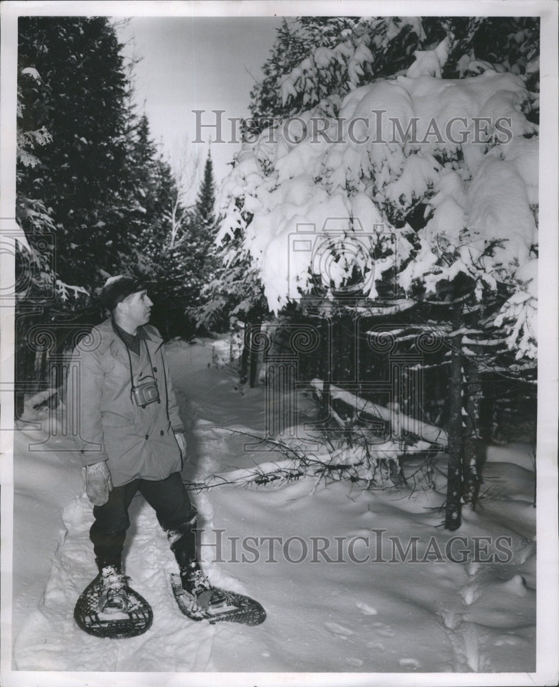 1954 Country Winter Man Walking Snowshoes - Historic Images