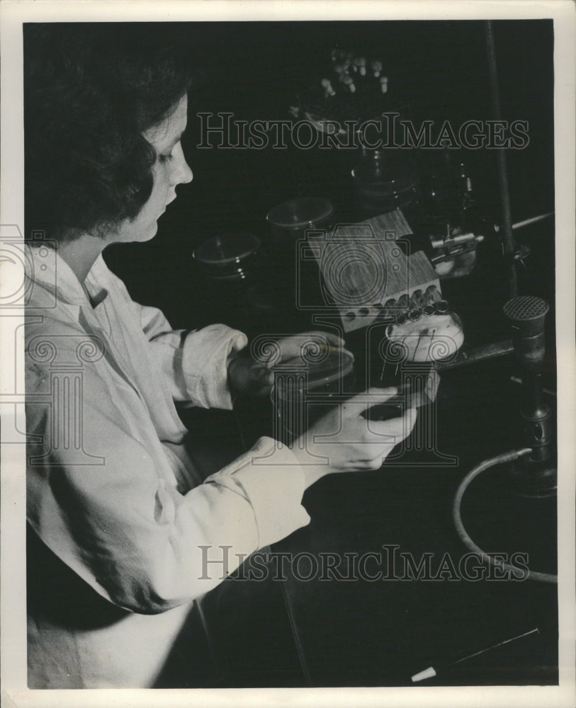 1948 Research Laboratory Technician Sheehan - Historic Images