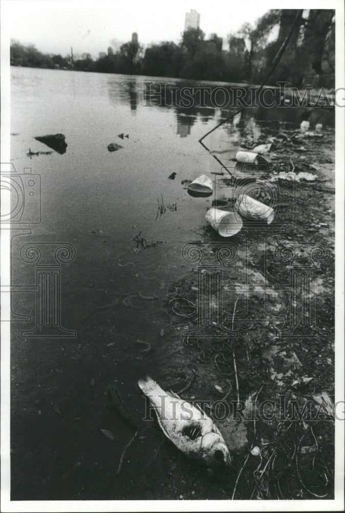 1980 Lincoln Park Trash Polution - Historic Images