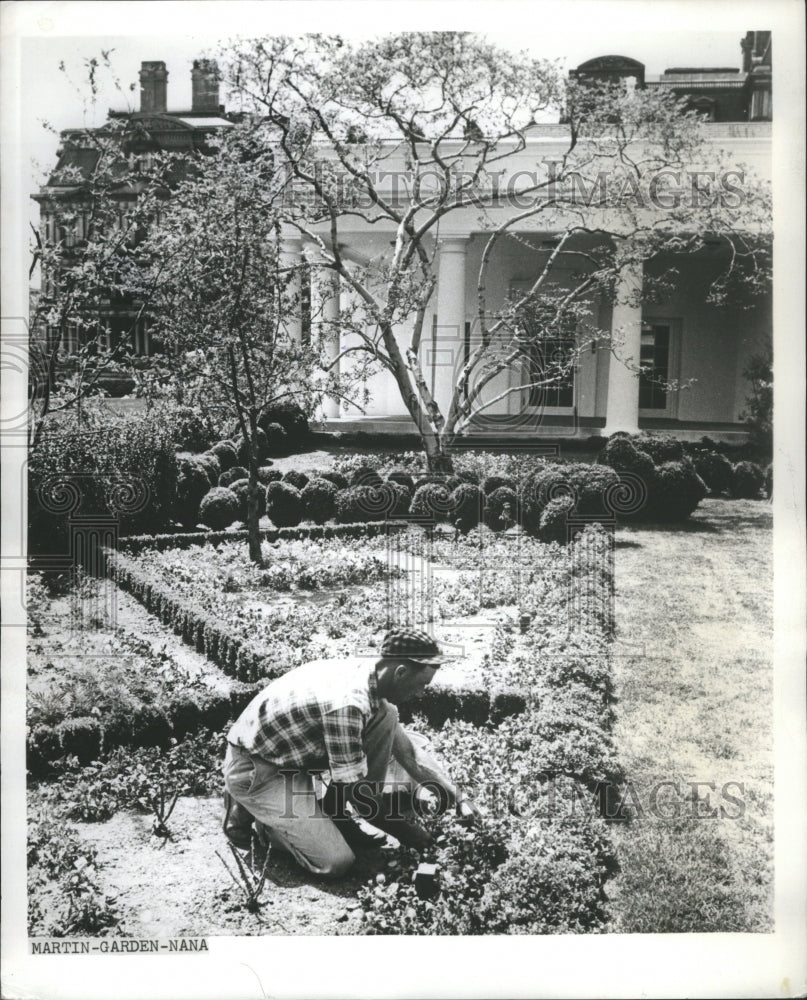 1962 Rose Garden Of The The White House  - Historic Images