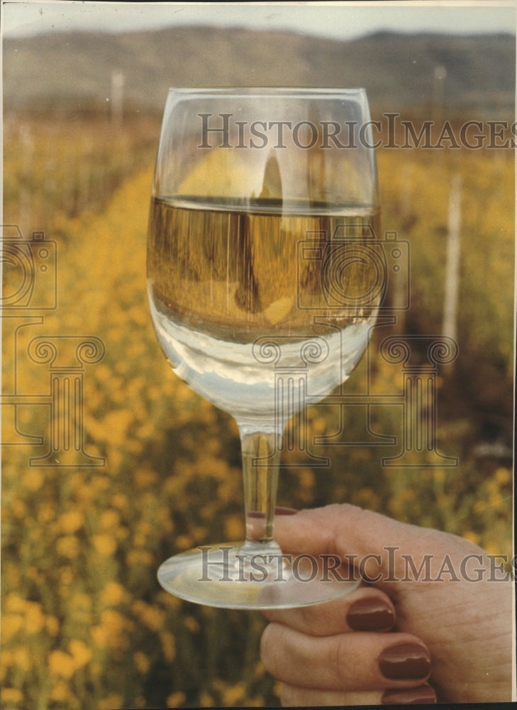 1993 Wine - Historic Images