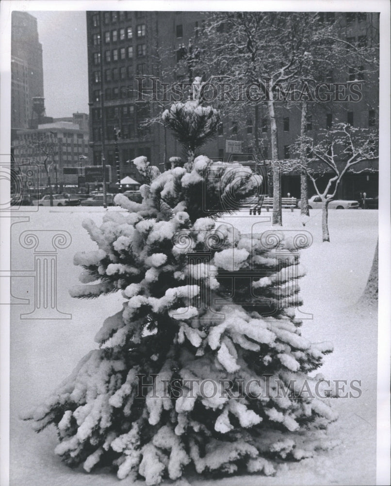 1966 Winter Coldest Season Autumn Spring So - Historic Images
