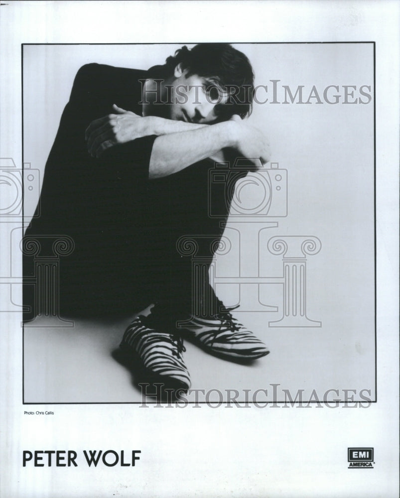 1988 Peter Wolf Painter Musician Rythmblues - Historic Images