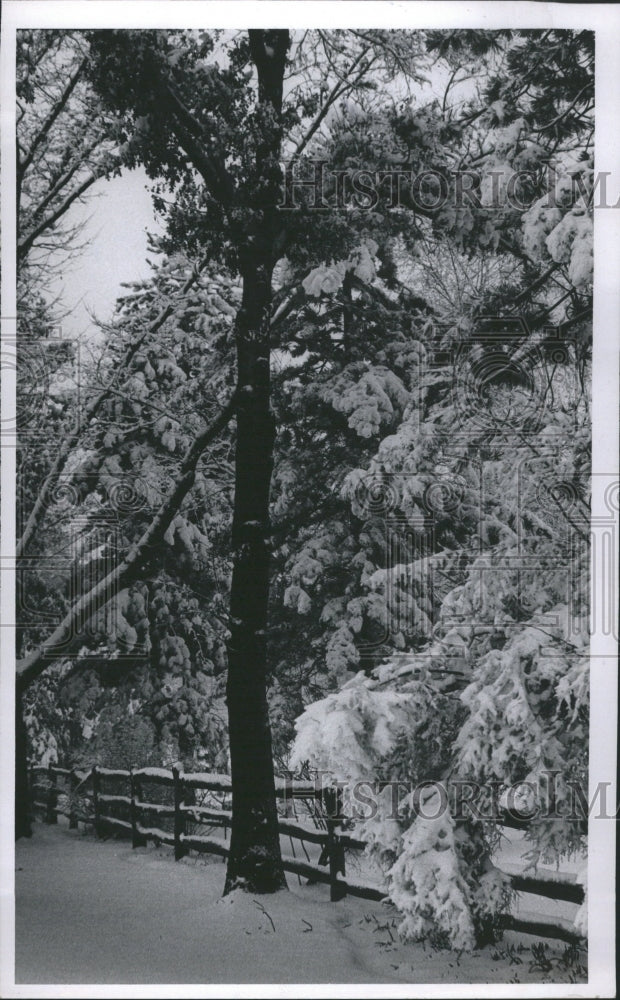 1970 Lahser Weather Art Winter Road Trees - Historic Images