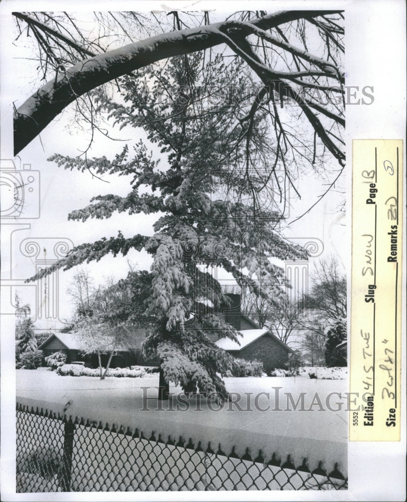 1976 Snow Art Grosse Pointe Farms Trees Roa - Historic Images
