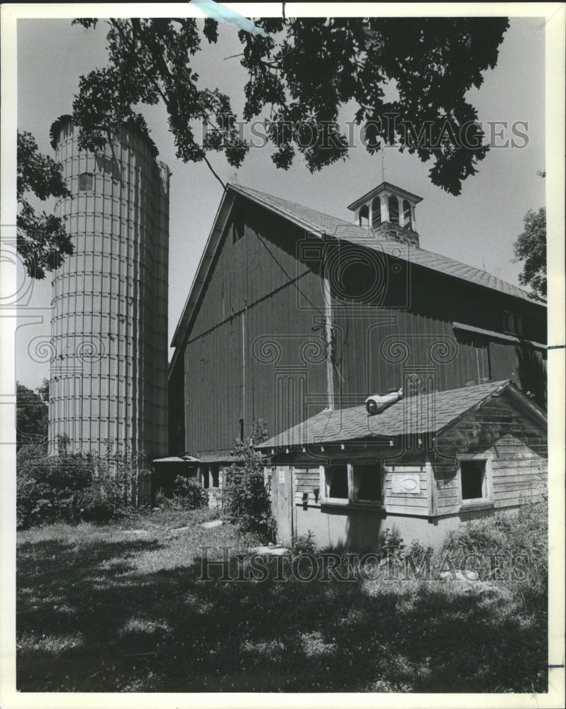 1983 Cross Spring Wooden Bridge Maples Ruts - Historic Images