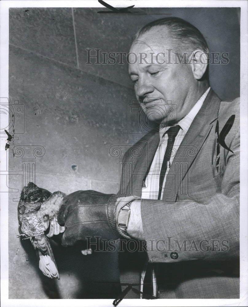1965 Michigan Humane Society Holds Hawk - Historic Images
