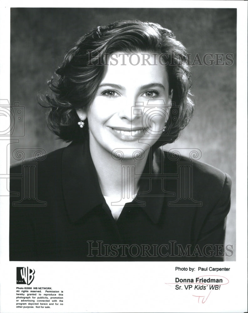 2001 Press Photo Donna Friedman Senior VP Kids WB - RRR72165 - Historic Images