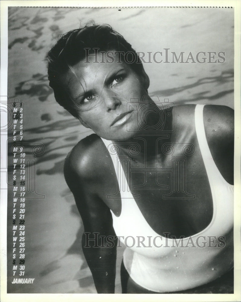 1983 Christie Brinkley Calender - Historic Images